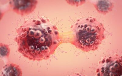IDL Biotech continues its work on automating the TPS® tumor marker